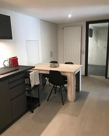 Apartment Blue River Losone