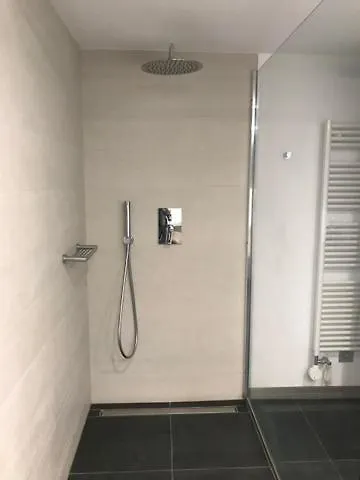 Blue River Apartament Losone