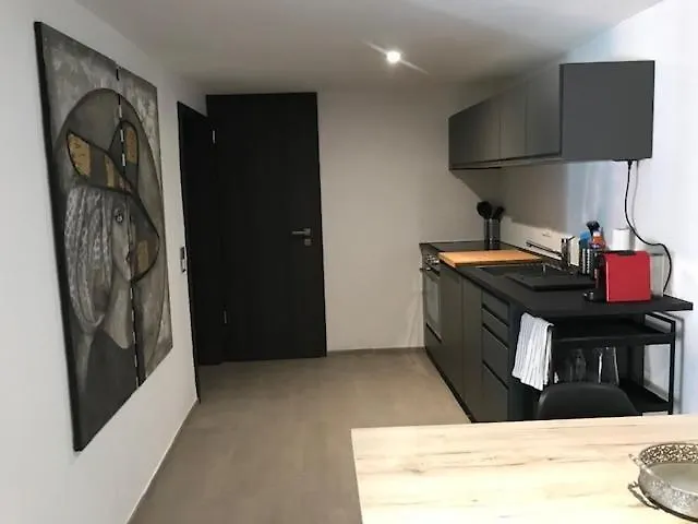 Blue River Apartman *