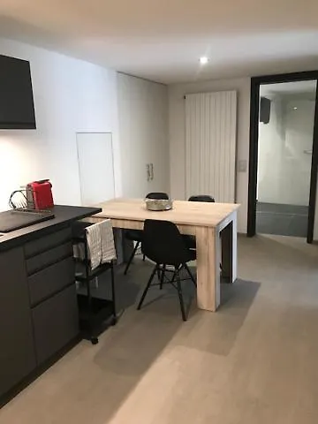 Apartamento Blue River Losone